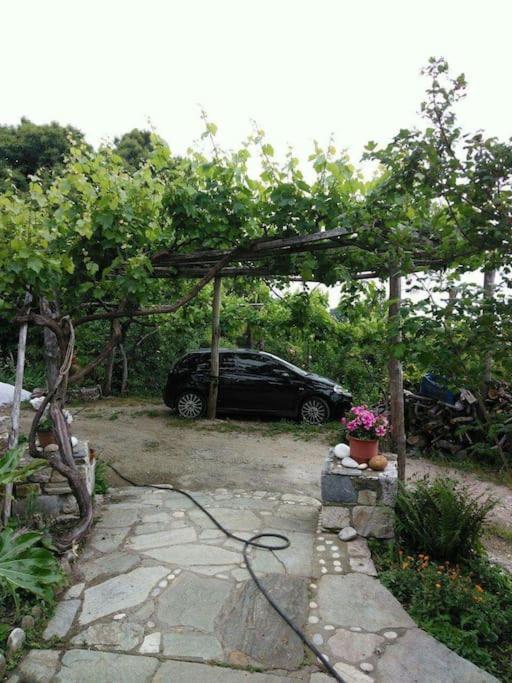 Holiday home Xrysanthi's Dream House Zagora