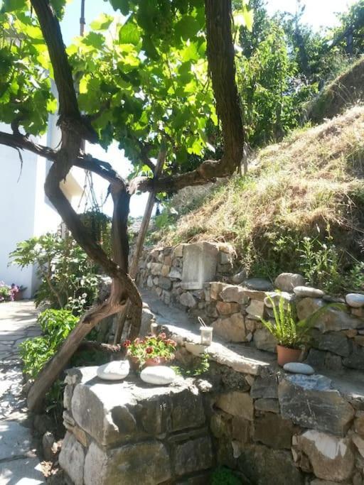 Holiday home Xrysanthi's Dream House Zagora