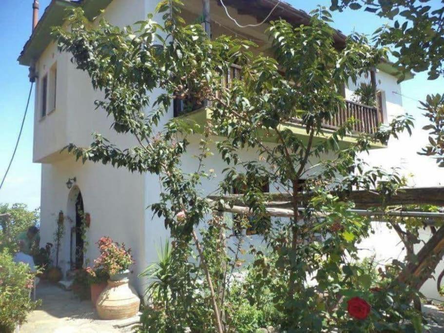 Xrysanthi's Dream House *